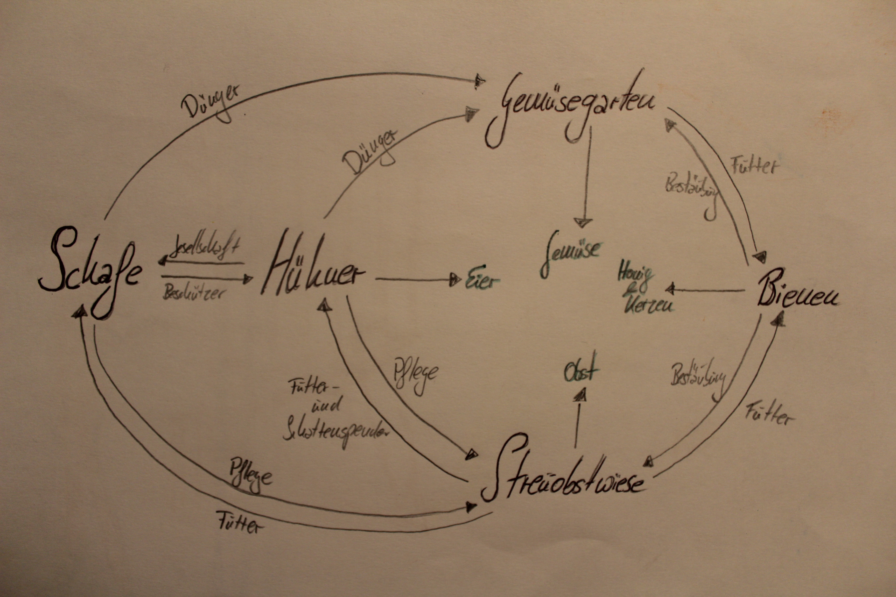 Der Wertschöpfungskreislauf